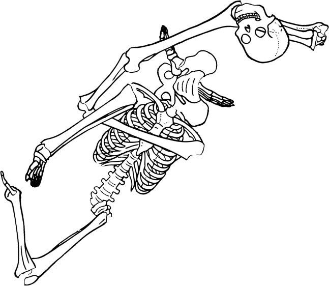 Dem bones dem bones dem – dry bones!