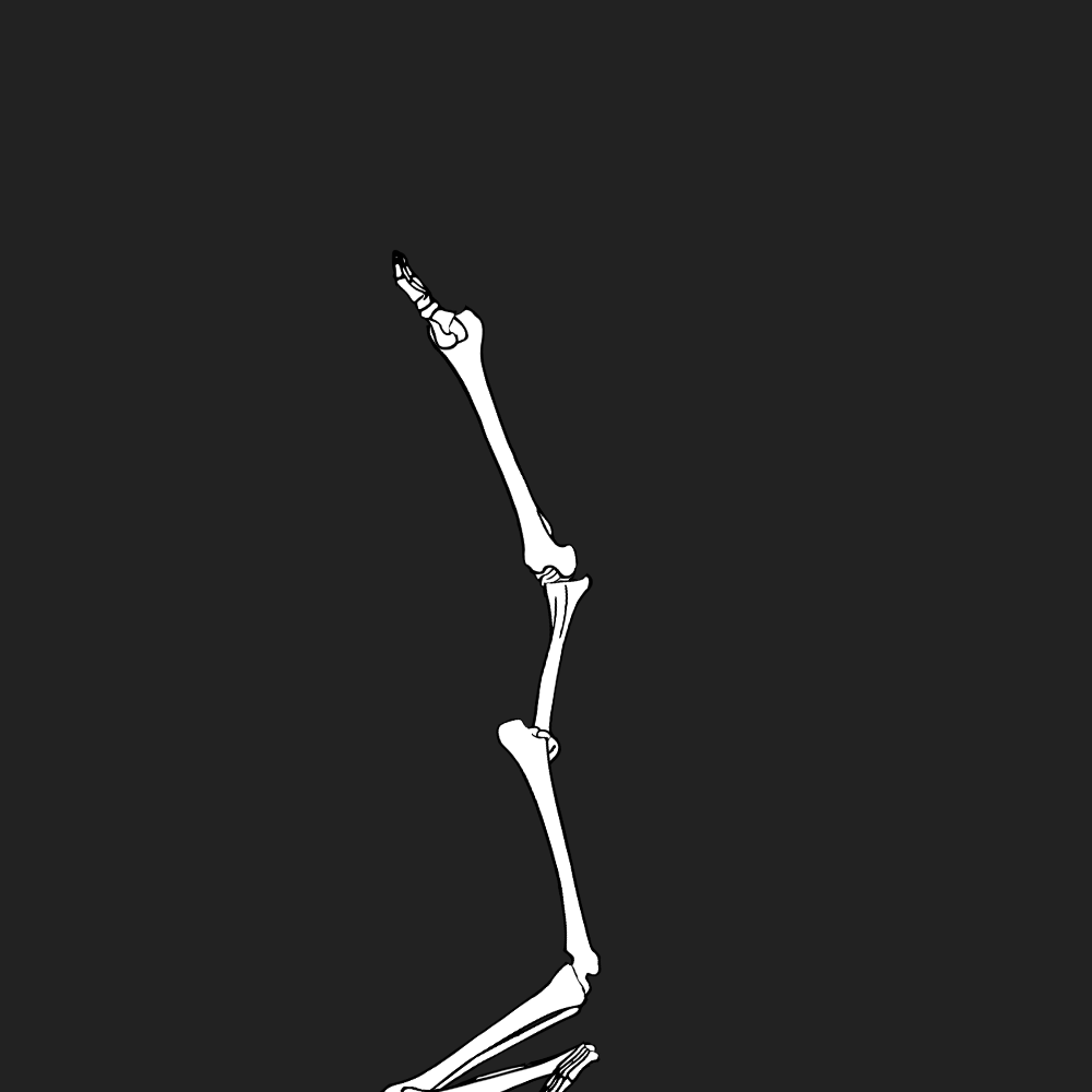 Dem bones dem bones dem – dry bones!