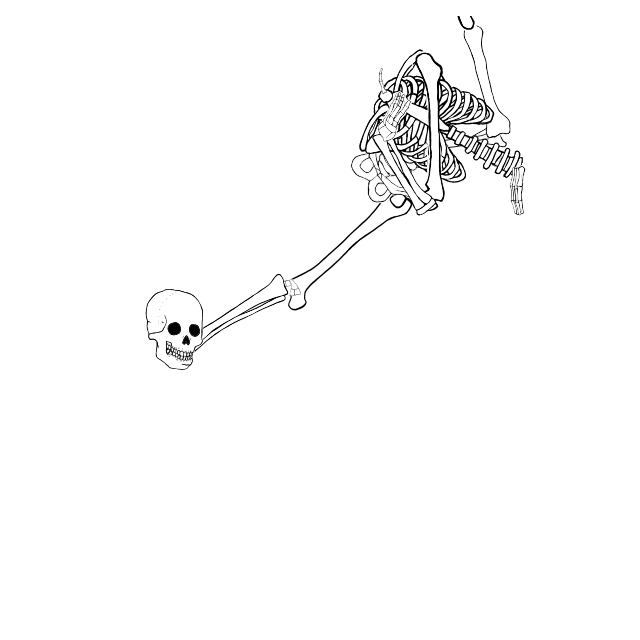 Dem bones dem bones dem – dry bones!