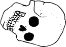Dem bones dem bones dem – dry bones!