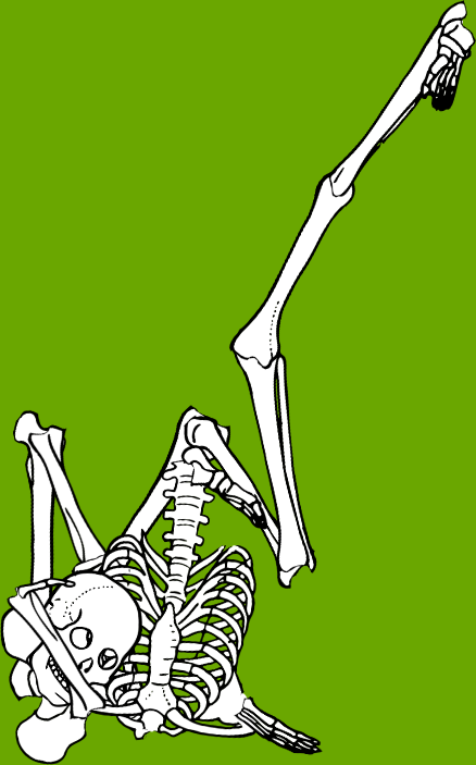 Dem bones dem bones dem – dry bones! Dem bones dem bones dem – extra bones!