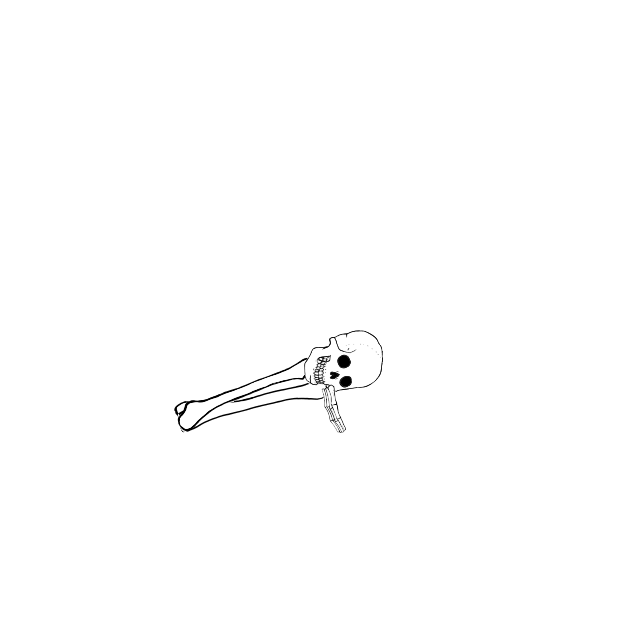 Dem bones dem bones dem – dry bones!