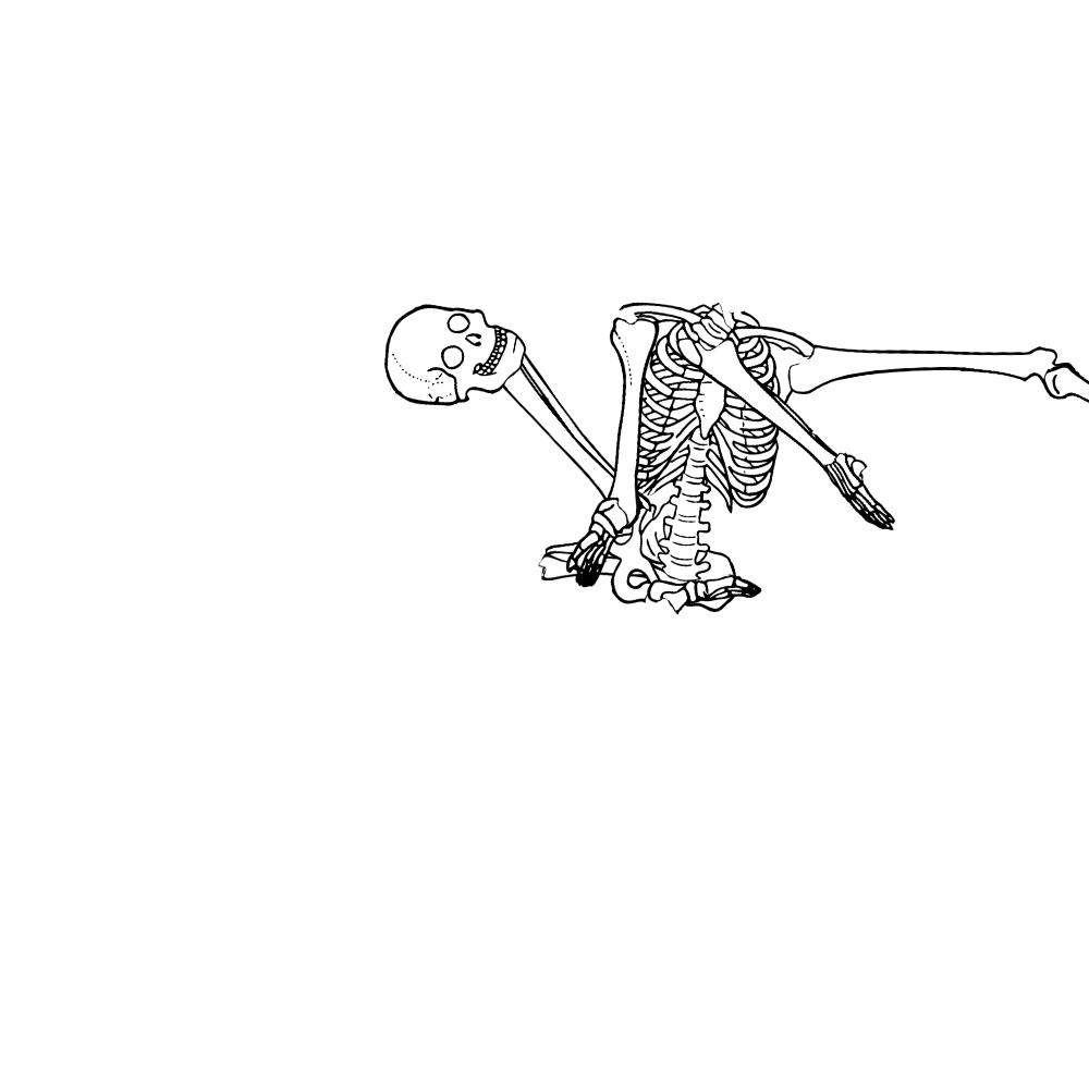 Dem bones dem bones dem – dry bones!