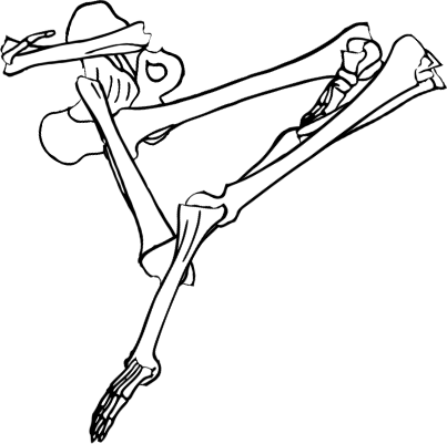 Dem bones dem bones dem – dry bones!