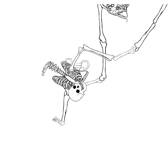 Dem bones dem bones dem – dry bones!