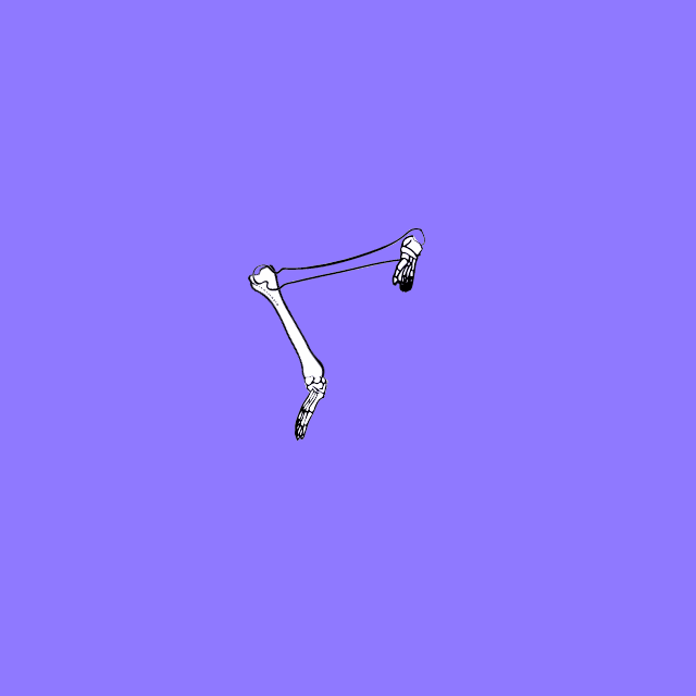 Dem bones dem bones dem – dry bones!