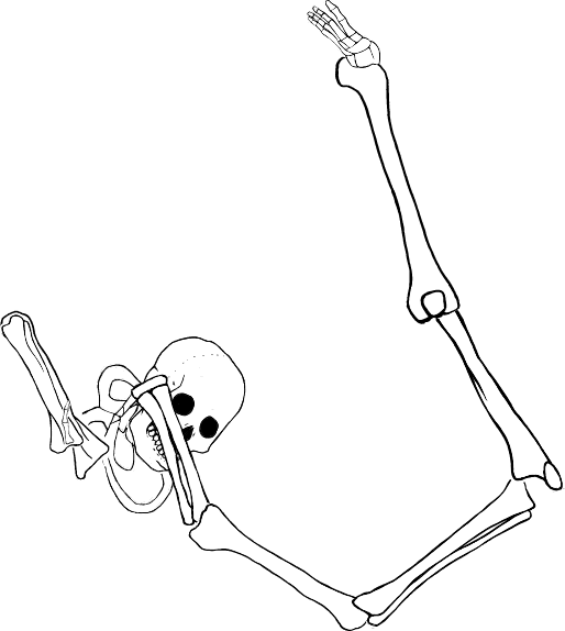 Dem bones dem bones dem – dry bones!