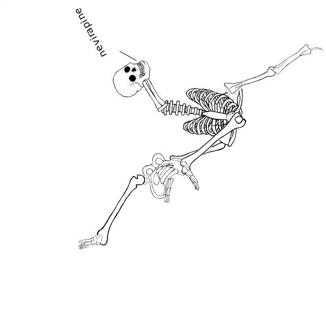Dem bones dem bones dem – dry bones!