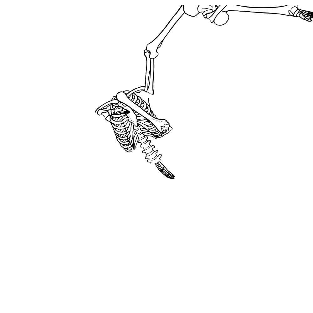 Dem bones dem bones dem – dry bones!