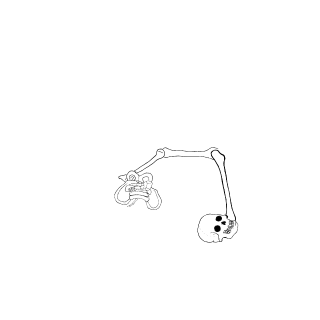 Dem bones dem bones dem – dry bones!
