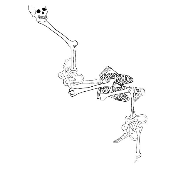 Dem bones dem bones dem – dry bones!