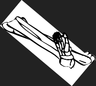Dem bones dem bones dem – dry bones!