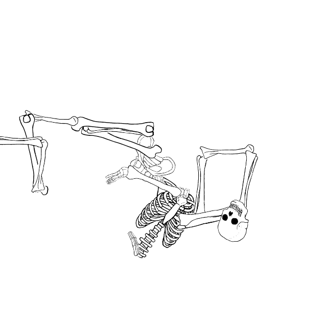Dem bones dem bones dem – dry bones!