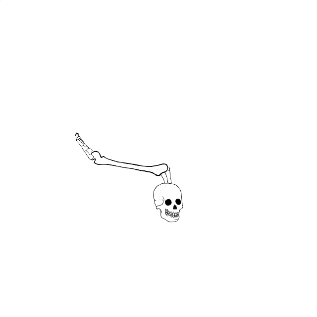 Dem bones dem bones dem – dry bones!