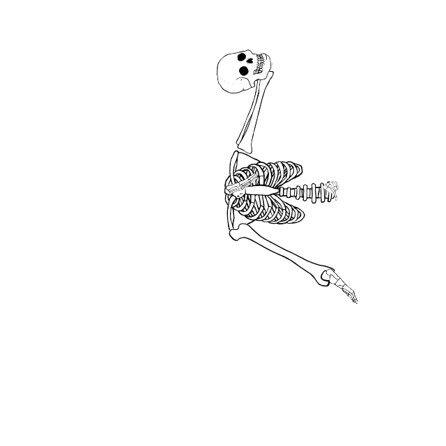 Dem bones dem bones dem – dry bones!