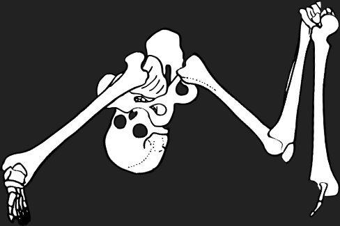 Dem bones dem bones dem – dry bones!