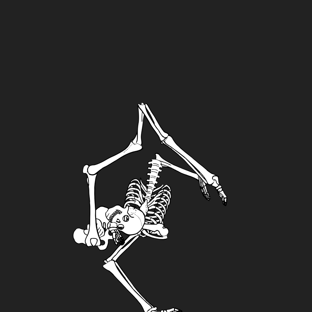 Dem bones dem bones dem – dry bones! Dem bones dem bones dem – extra bones!