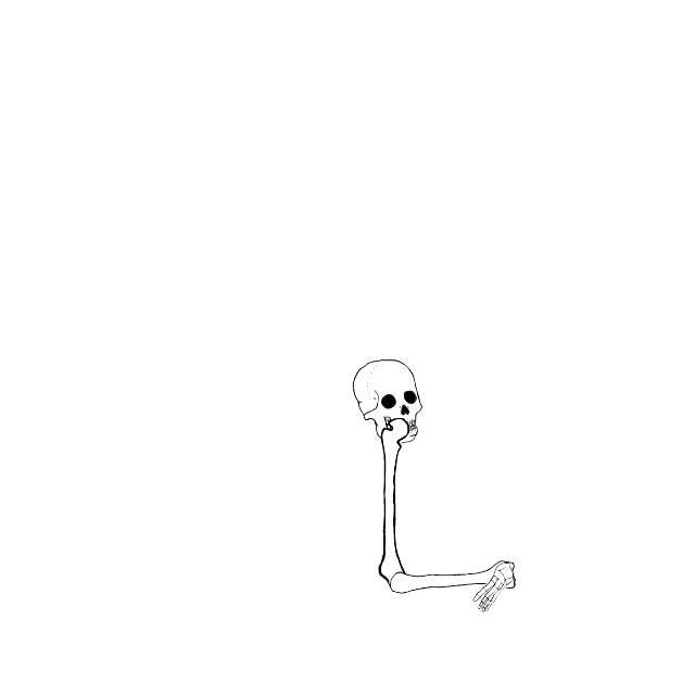 Dem bones dem bones dem – dry bones!