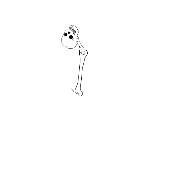 Dem bones dem bones dem – dry bones!