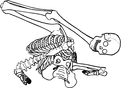Dem bones dem bones dem – dry bones!