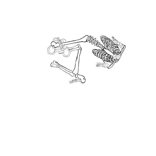 Dem bones dem bones dem – dry bones!