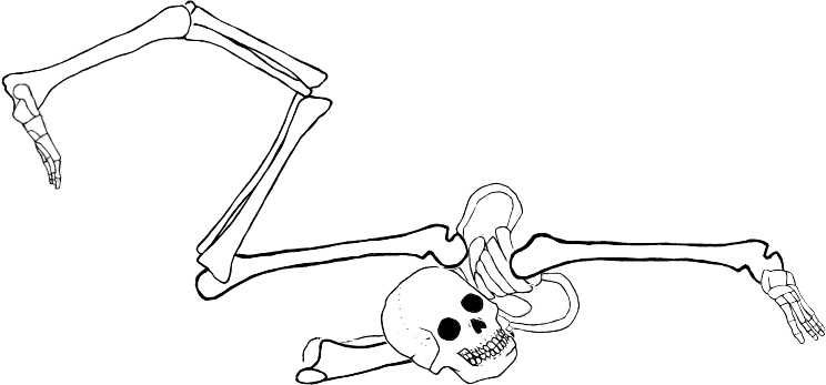 Dem bones dem bones dem – dry bones!