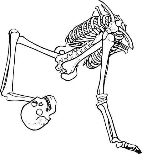 Dem bones dem bones dem – dry bones!