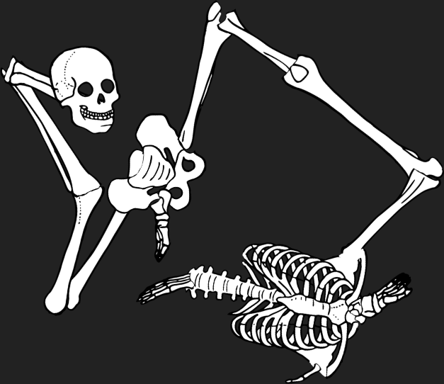 Dem bones dem bones dem – dry bones!