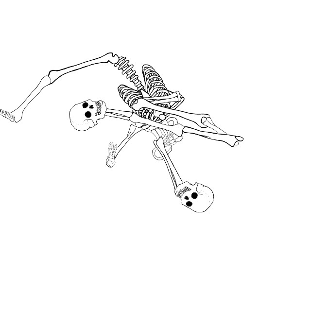 Dem bones dem bones dem – dry bones!