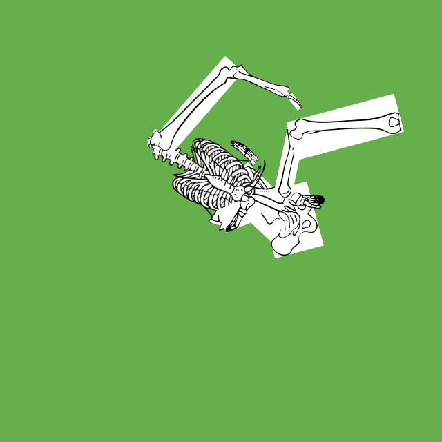 Dem bones dem bones dem – dry bones!