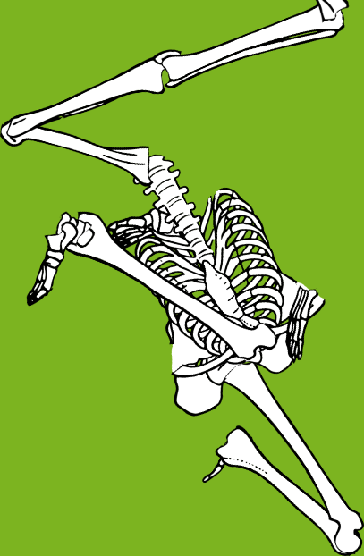 Dem bones dem bones dem – dry bones!