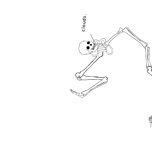 Dem bones dem bones dem – dry bones!