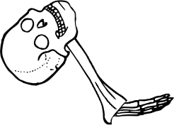 Dem bones dem bones dem – dry bones!