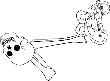 Dem bones dem bones dem – dry bones!
