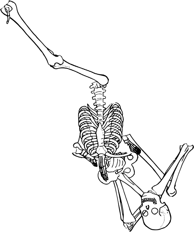Dem bones dem bones dem – dry bones!