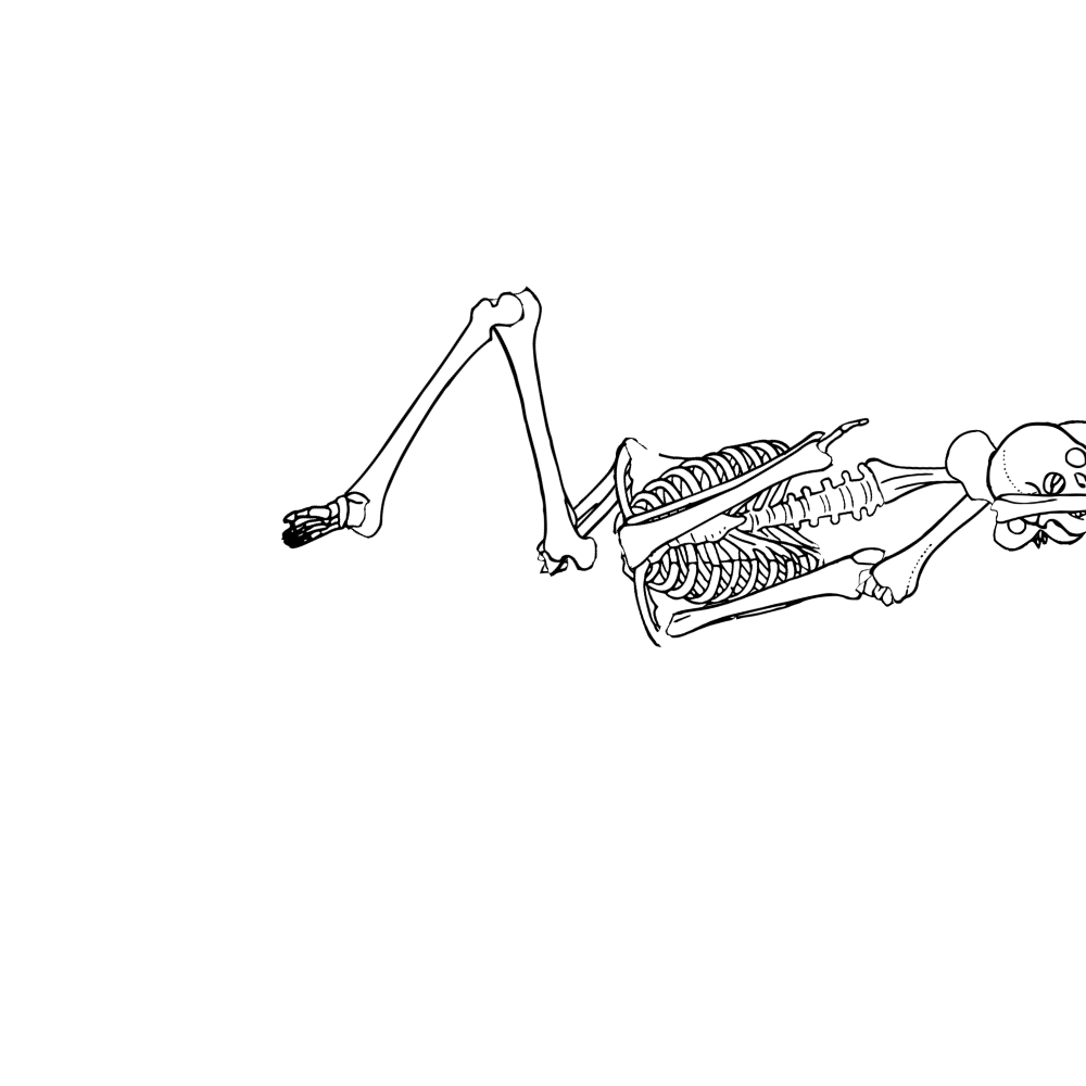 Dem bones dem bones dem – dry bones!