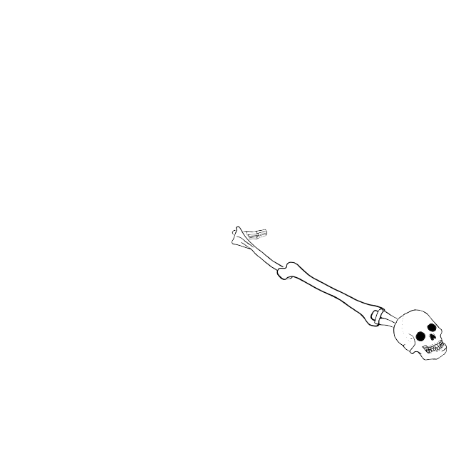 Dem bones dem bones dem – dry bones!