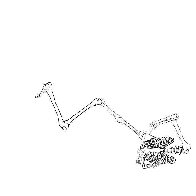 Dem bones dem bones dem – dry bones!