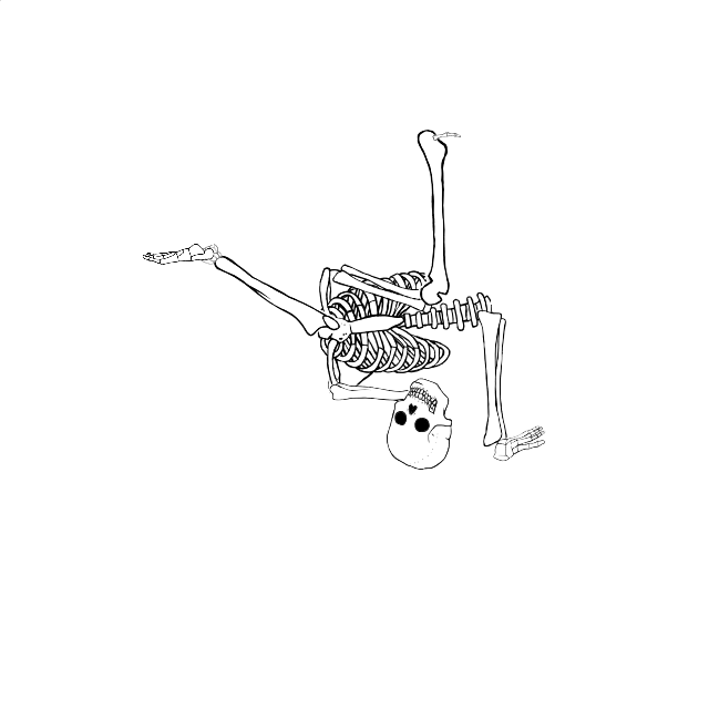 Dem bones dem bones dem – dry bones!