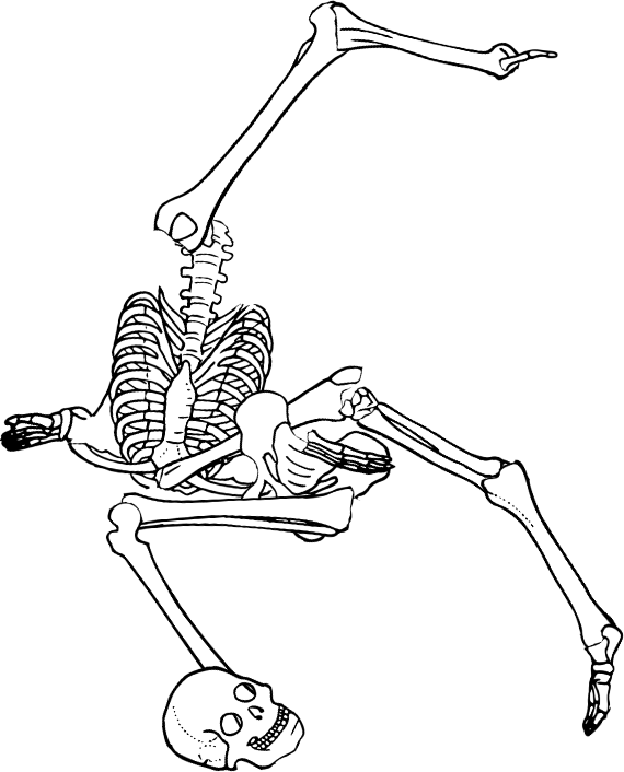 Dem bones dem bones dem – dry bones!