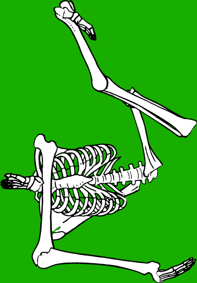 Dem bones dem bones dem – dry bones!