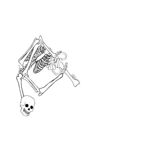 Dem bones dem bones dem – dry bones!