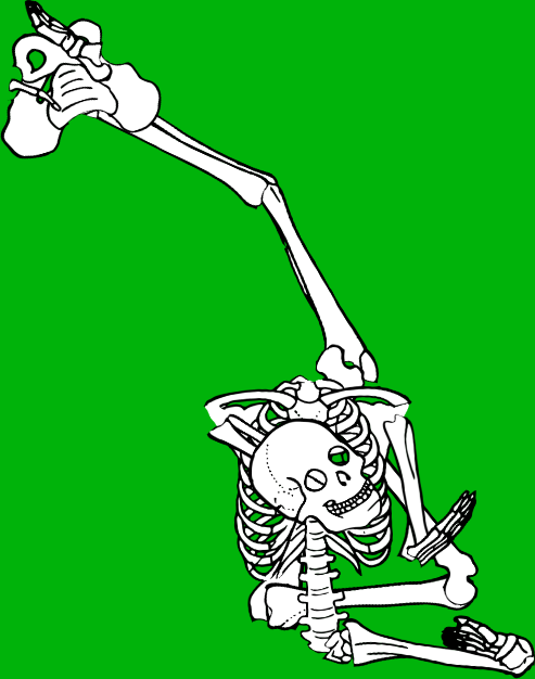 Dem bones dem bones dem – dry bones!