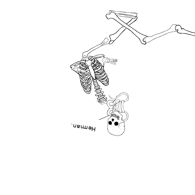 Dem bones dem bones dem – dry bones!