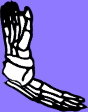 Dem bones dem bones dem – dry bones!