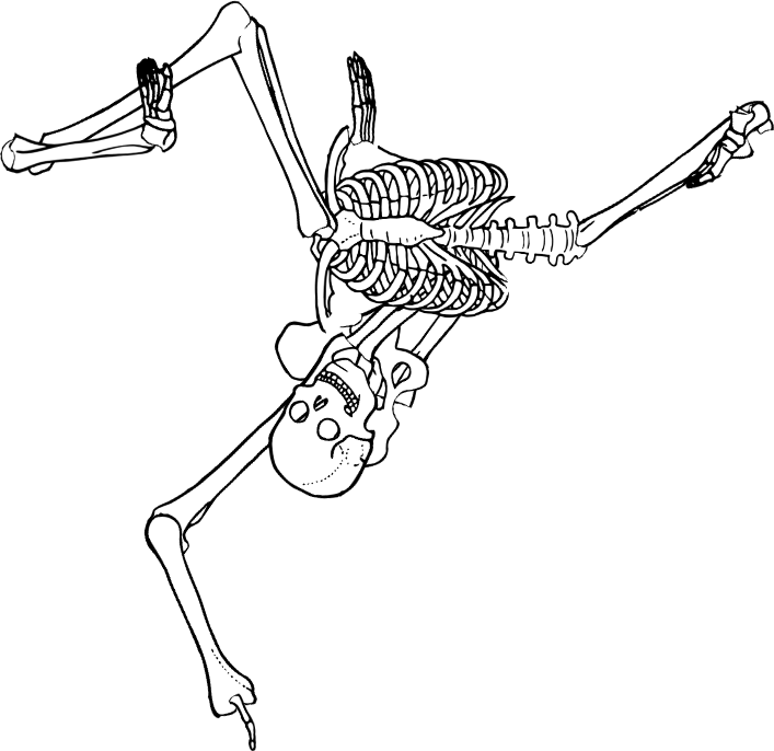 Dem bones dem bones dem – dry bones!