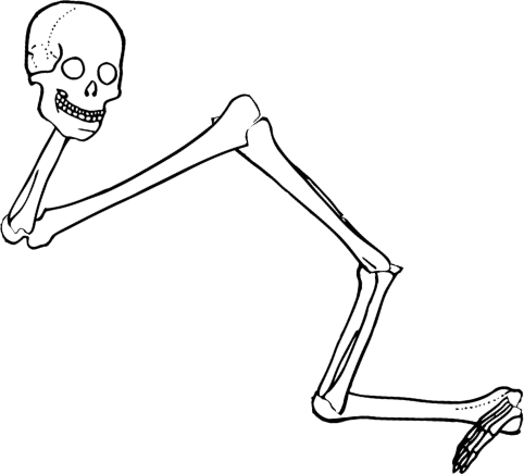 Dem bones dem bones dem – dry bones!