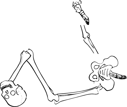Dem bones dem bones dem – dry bones!