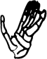 Dem bones dem bones dem – dry bones!