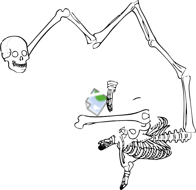 Dem bones dem bones dem – dry bones!